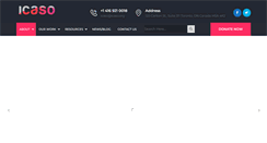 Desktop Screenshot of icaso.org
